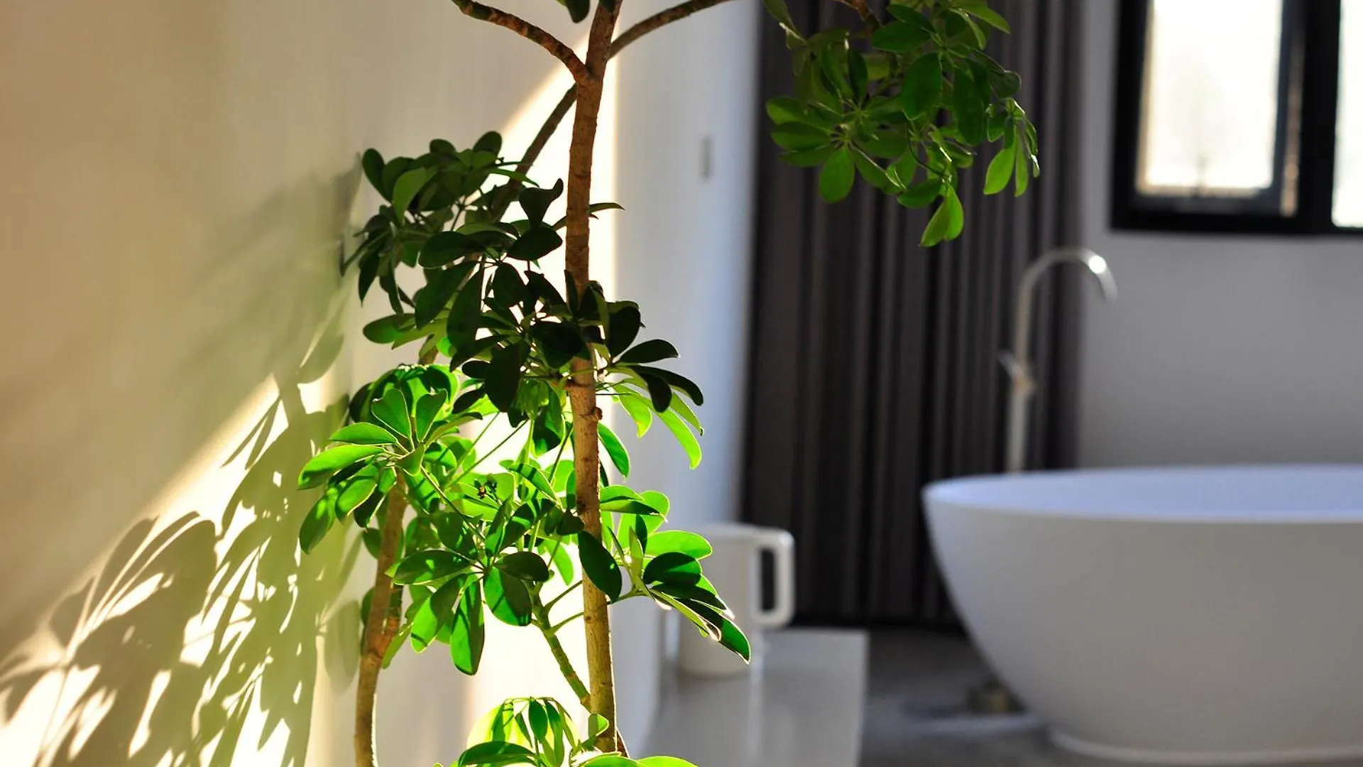 Xingle Hotel-Suzhou Guanqian Street Pingjiang Road Kína